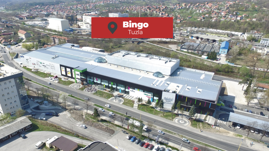 BINGO thumbnail 8