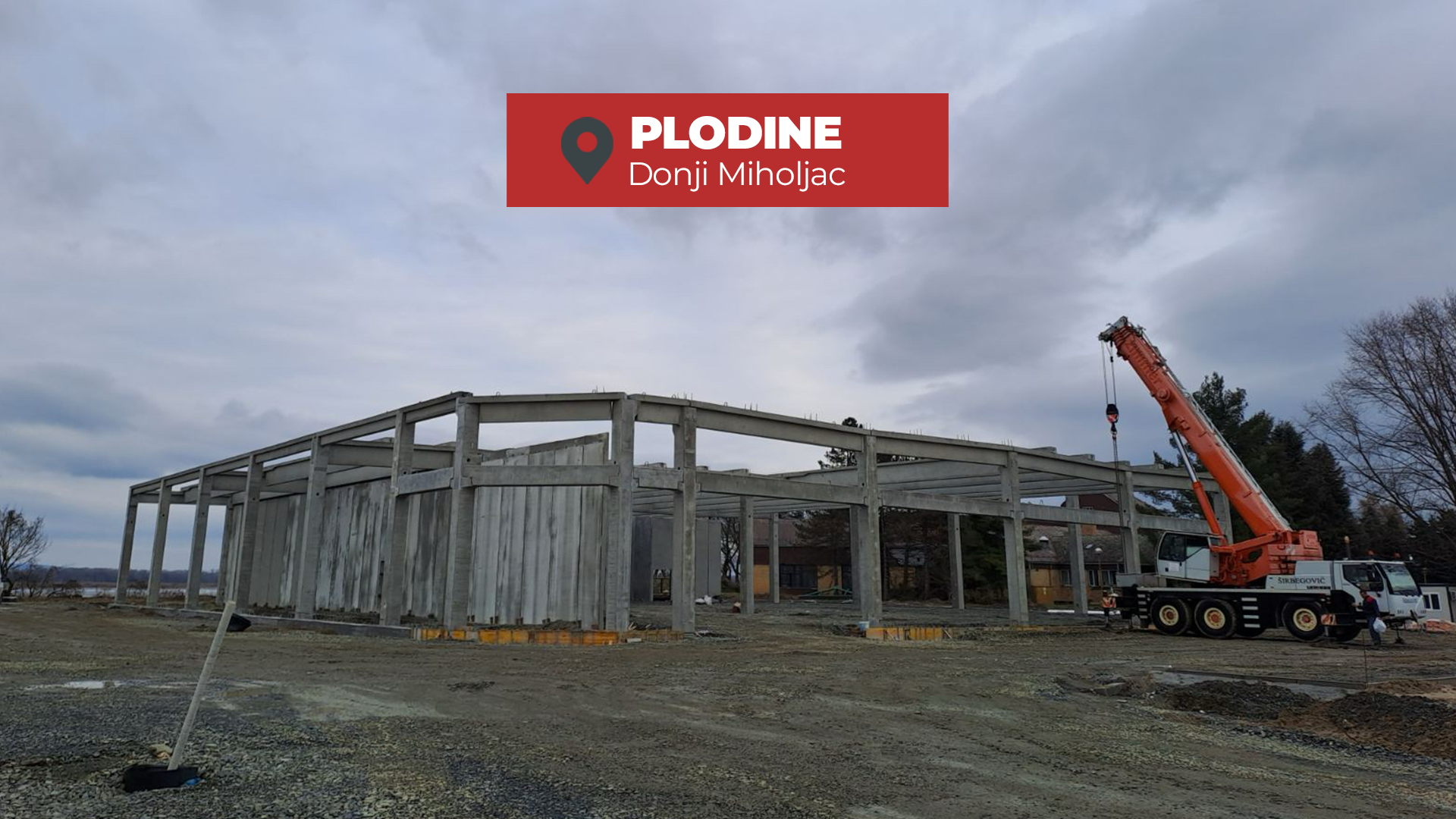 PLODINE - 5